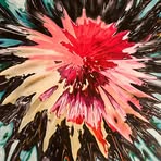 Profile Picture of Hoffman Chill (@Hoffman-Chill) on Facebook