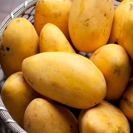 Profile Picture of alyssa (@mangoconnoisseurrr) on Tiktok