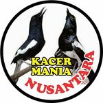 Profile Picture of tisp perawatan burung kacer 👍 (@kacermanianusantara) on Instagram