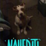 Profile Picture of Michael Dobbs (@michael.dobbs.908) on Instagram