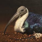 Profile Picture of gregpostlephotos (@greg_postle_photos) on Instagram