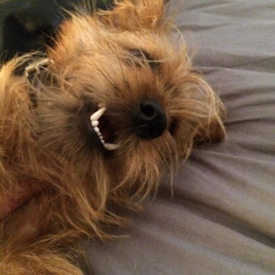 Profile Picture of John M Melick (@John_Melick) on Twitter