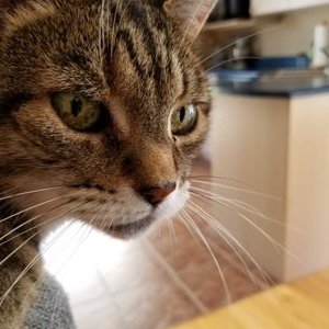 Profile Picture of Lise Gauthier (@LiseGauthier14) on Twitter