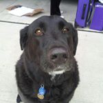 Profile Picture of James Haralson (@haralsonjames) on Instagram