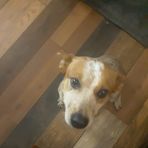 Profile Picture of Larry Minchew (@larry.minchew.14) on Facebook