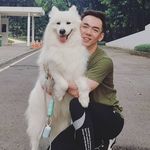 Profile Picture of WangWang Samoyed (@wangwangsamoyed) on Instagram