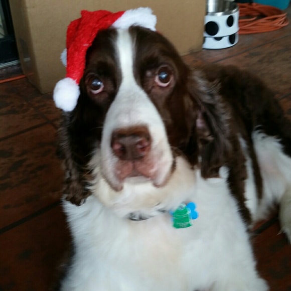 Profile Picture of Paula Carnall (@pmc1123) on Poshmark