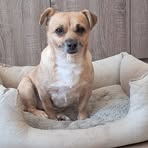 Profile Picture of Bartek Jabłoński (@Bartek-Jabłoński) on Facebook