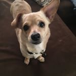 James Abramski - Instagram Profile Picture of James Abramski (@abramskij) on Instagram