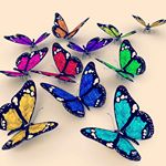 Profile Picture of Sybranda (@sybrandaholsappel46) on Instagram