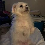 Profile Picture of Carol Skaggs (@momandpops2013) on Instagram