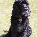 Profile Picture of Sara Davey (@sara.davey.3) on Instagram