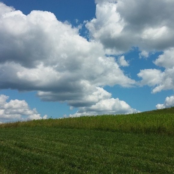 Profile Picture of Stephanie Ciummo (@sciummo) on Poshmark