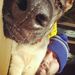 Profile Picture of Andrew Rigoli (@rigz1213) on Pinterest