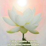 Profile Picture of Giuliana (@juliagrosso44) on Instagram