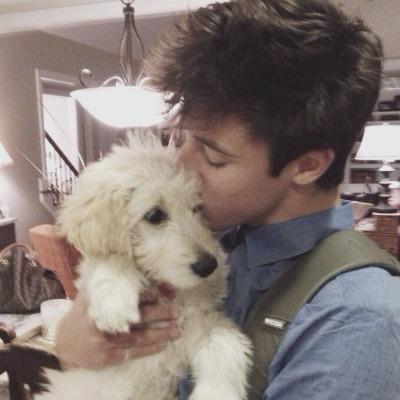 Profile Picture of Sean Heald. (@SolemnThievery) on Twitter