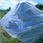 Profile Picture of Pete Grainger (@pete.grainger) on Instagram