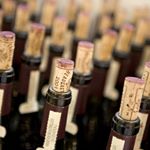 Profile Picture of Jonathan Perron (@thewinestories) on Instagram
