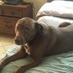 Profile Picture of Kevin Hillyer (@hillyer_kevin) on Instagram