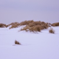 Profile Picture of Jaclyn Frost (@jaclyn-frost) on Quora