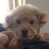 Profile Picture of Vaughn Burgess (@vaughn-burgess) on Quora