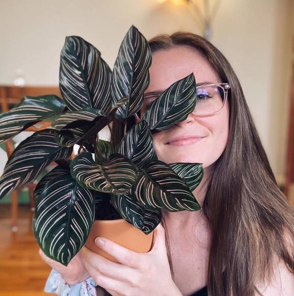 Profile Picture of Haley Ellis (@ohhh4l3y) on Poshmark