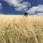 Profile Picture of Ellen Thomas (@ellenmarythomas) on Instagram