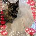 Profile Picture of Lisa Cawley (@lisa.cawley.7) on Facebook