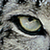 Profile Picture of Bryan dalrymple (@bryanthomasdalrymple) on Flickr