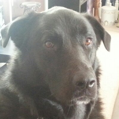 Profile Picture of Scott Dyck (@DyckScott) on Twitter
