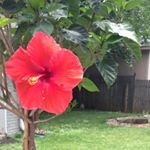 Profile Picture of Kim Ridge (@kimridgenc) on Instagram