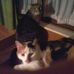 Profile Picture of Claudia Hesch (@claudia.hesch.3) on Facebook