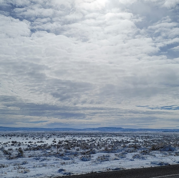 Profile Picture of Denise James (@kona12bugg) on Poshmark