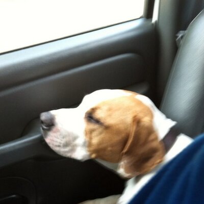 Profile Picture of Charles Parsons (@Charlesparsons5) on Twitter