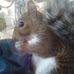 Profile Picture of Sheri Cudak (@sheri.cudak.9) on Facebook