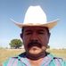 Profile Picture of Jorge Bojorquez (@jorge.bojorquez.583) on Facebook