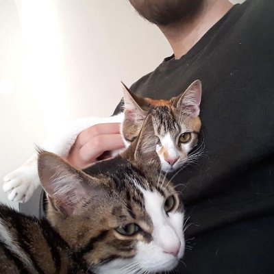 Profile Picture of Sencer Giray (@sencergry) on Twitter