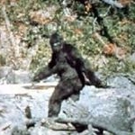 Profile Picture of Hans Meier (@ufo_bigfoot_yeti) on Instagram