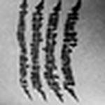 Profile Picture of cinzia maltempi (@aryaessenziale) on Flickr