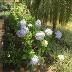 Profile Picture of Carlo Lussier (@Carlo-Lussier) on Facebook