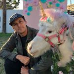 Profile Picture of Steve Stratton (@stratosfear) on Instagram