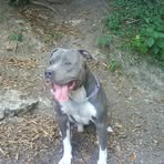 Profile Picture of Christopher Brun (@christopher.brun.543) on Facebook