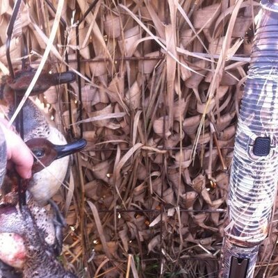 Profile Picture of Chris Breeding (@chris_breeding) on Twitter