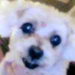 Profile Picture of Nancy Spackey Dougherty (@nancy.s.dougherty) on Instagram