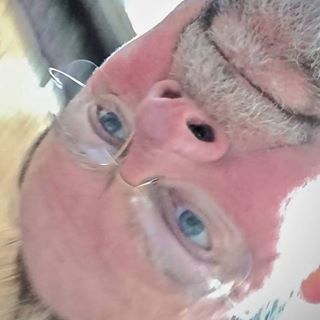 Profile Picture of Paul Randall (@P.Leighton.Randall) on Facebook