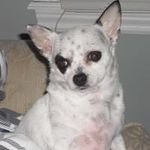 Profile Picture of Hollie Squires-Nesbitt (@bunnyfun10) on Instagram