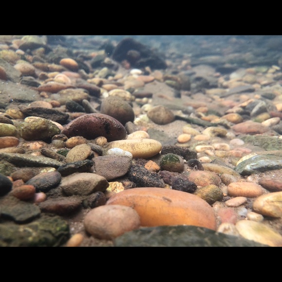 Profile Picture of Toney Thomas (@toneythomas) on Poshmark