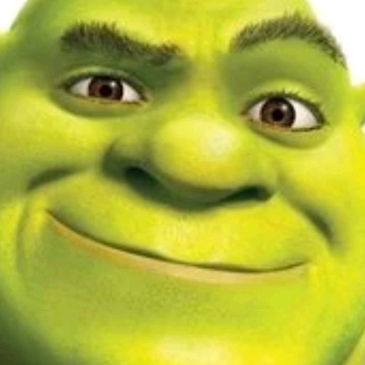 Profile Picture of Howard the alien (@shrek_4_life101) on Tiktok