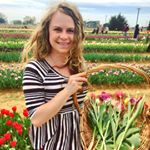 Profile Picture of Danielle Romero (@danikromero) on Instagram