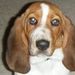 Profile Picture of Rene Lummis (@pittmanrene) on Pinterest